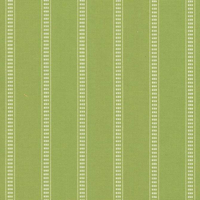 Babbo Stripe Palm by Kasmir Fabric 5074 90% Cotton
10% Polyester
 TURKEY 30,000 Wyzenbeek Double Rubs Horizontal: 1 4/8 inches and Vertical: 2/8 inches 54 - Fabric Carolina -