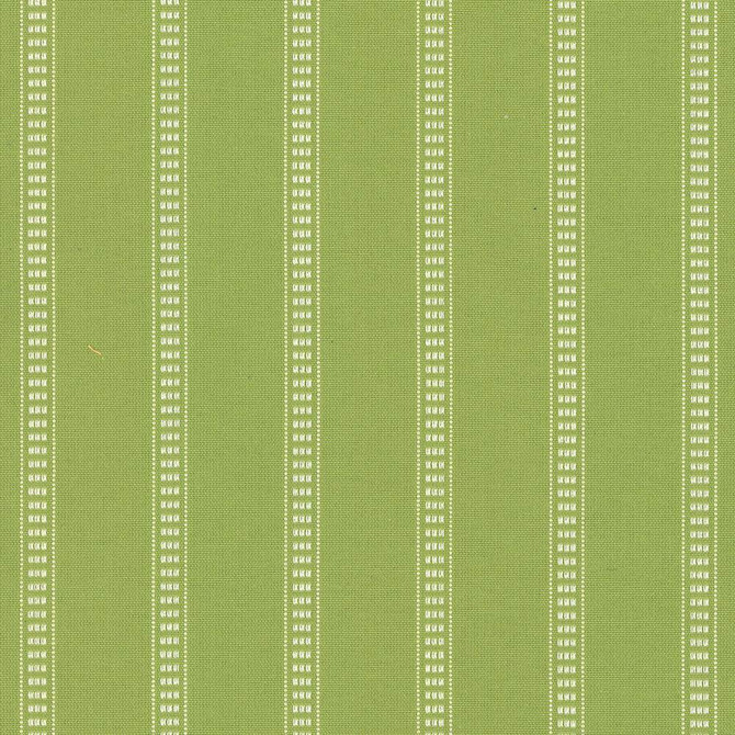 Babbo Stripe Palm by Kasmir Fabric 5074 90% Cotton
10% Polyester
 TURKEY </p><p>Repeat: Horizontal: 1 4/8 inches and Vertical: 2/8 inches 54 - Fabric Carolina -