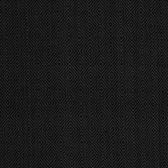 Balducci Raven by Kasmir Fabric 5101 100% Cotton
 INDIA 12,000 Wyzenbeek Double Rubs Horizontal: 1 2/8 inches and Vertical: 1 4/8 inches 54 - Fabric Carolina -