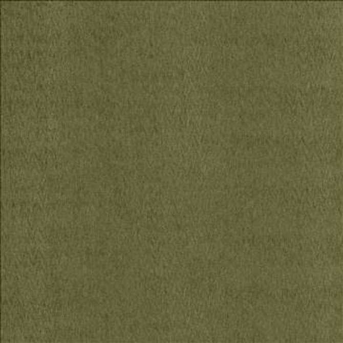 Berwick Moss by Kasmir Fabric 5099 100% Polyester CHINA 20,000 Wyzenbeek Double Rubs H: 1 inches, V: 1 inches 55 - Fabric Carolina - Kasmir