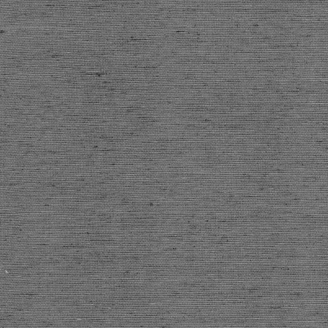 Bharat Charcoal by Kasmir Fabric 5101 100% Polyester INDIA 20,000 Martindale Cycles H: N/A, V:N/A 53 - 54 - Fabric Carolina - Kasmir