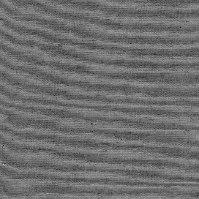 Bharat Charcoal by Kasmir Fabric 5101 100% Polyester
 INDIA </p><p>Repeat: Horizontal: N/A and Vertical: N/A 53 - 54 - Fabric Carolina -