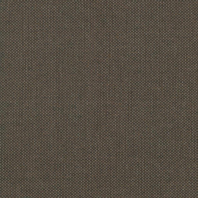 Bolsa Chocolate by Kasmir Fabric 5053 57% Cotton 43% Polyester TURKEY 87,000 Wyzenbeek Double Rubs H: N/A, V:N/A 55 - Fabric Carolina - Kasmir