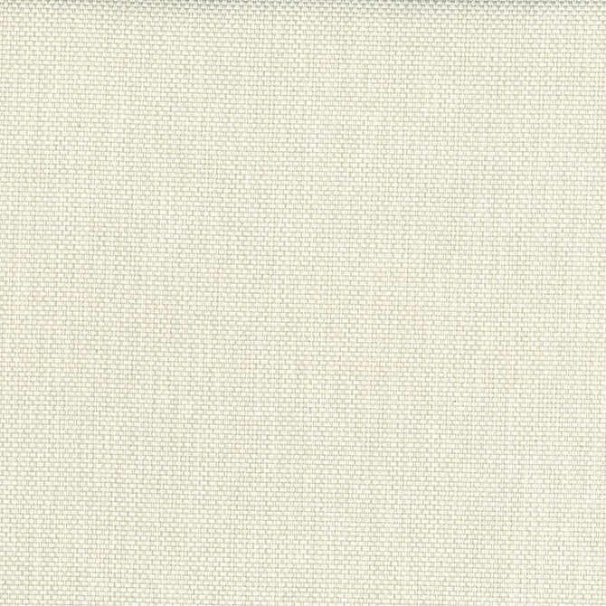 Bolsa Cream by Kasmir Fabric 5053 57% Cotton
43% Polyester
 TURKEY </p><p>Repeat: Horizontal: N/A and Vertical: N/A 55 - Fabric Carolina -