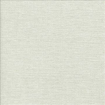 Bolsa Mist by Kasmir Fabric 5053 57% Cotton 43% Polyester TURKEY 87,000 Wyzenbeek Double Rubs H: N/A, V: N/A 55 - Fabric Carolina - Kasmir