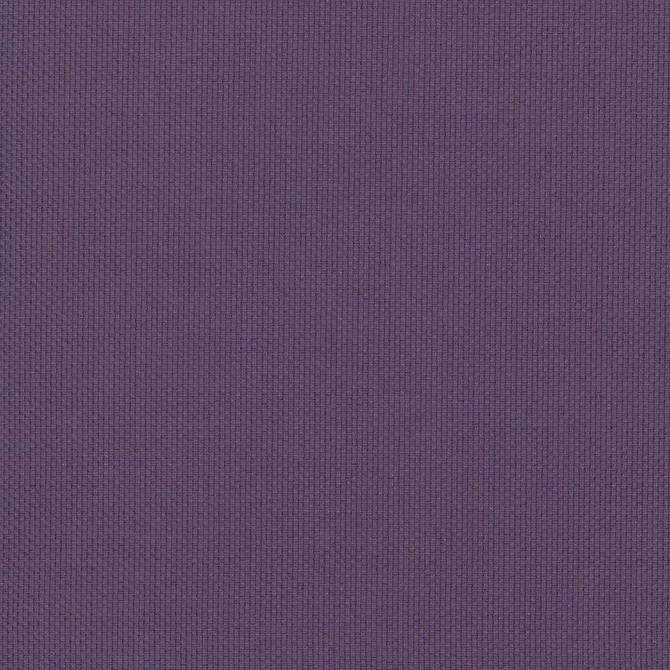 Bolsa Plum by Kasmir Fabric 5053 57% Cotton
43% Polyester
 TURKEY </p><p>Repeat: Horizontal: N/A and Vertical: N/A 55 - Fabric Carolina -