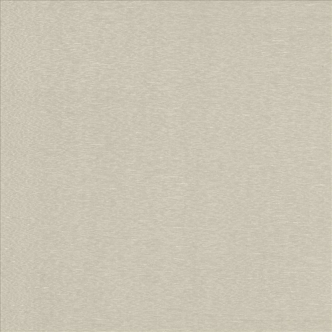 Boxwood Crystal by Kasmir Fabric 5149 55% Cotton
45% Polyester
 TAIWAN 30,000 Wyzenbeek Double Rubs </p><p>Repeat: Horizontal: N/A and Vertical: N/A 54 - Fabric Carolina -