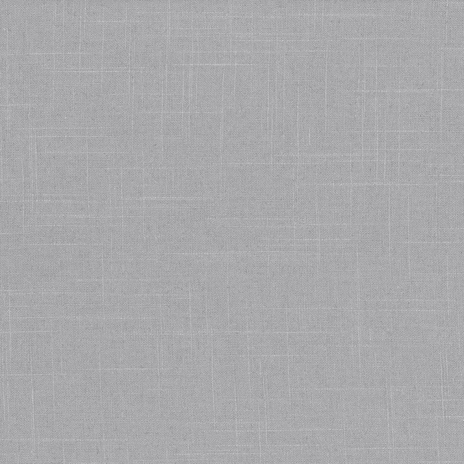 Brigadoon Iron by Kasmir Fabric 5048 55% Linen
45% Rayon
 CHINA 12,000 Wyzenbeek Double Rubs Horizontal: N/A and Vertical: N/A 54 - Fabric Carolina -