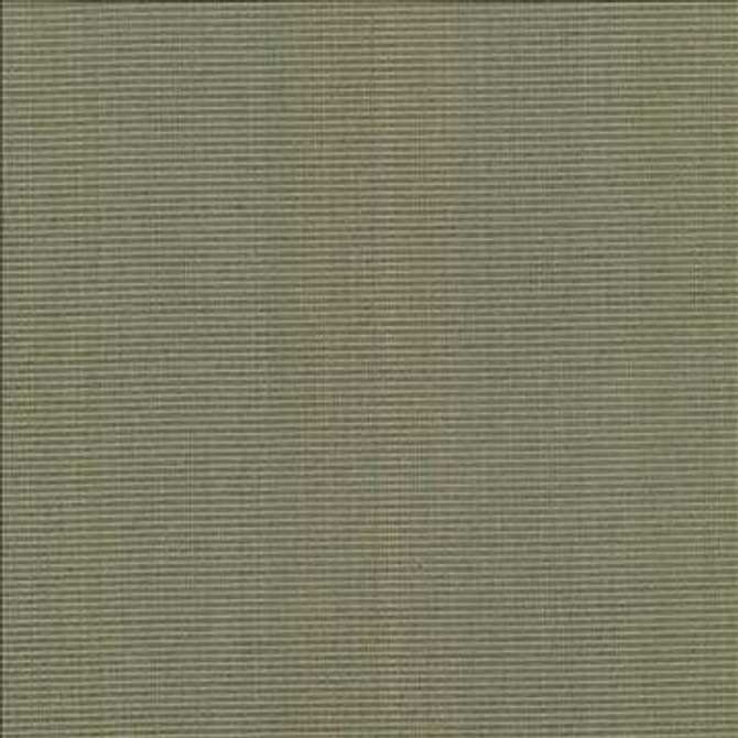 Burnet Sage by Kasmir Fabric 5074 52% Cotton 31% Polyester 17% Rayon CHINA 60,000 Wyzenbeek Double Rubs H: N/A, V: N/A 58 - Fabric Carolina - Kasmir