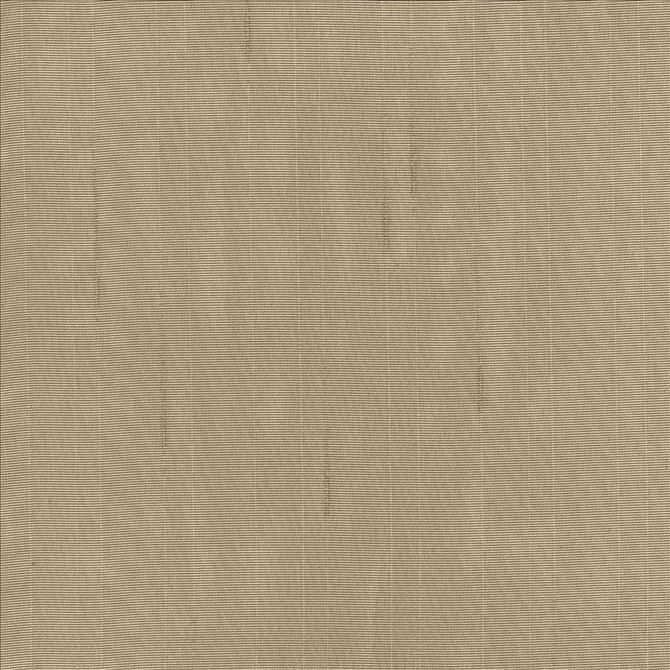Burnished Stripe Taupe by Kasmir Fabric 5076 100% Polyester
 TURKEY Horizontal: N/A and Vertical: N/A 117 - Fabric Carolina -