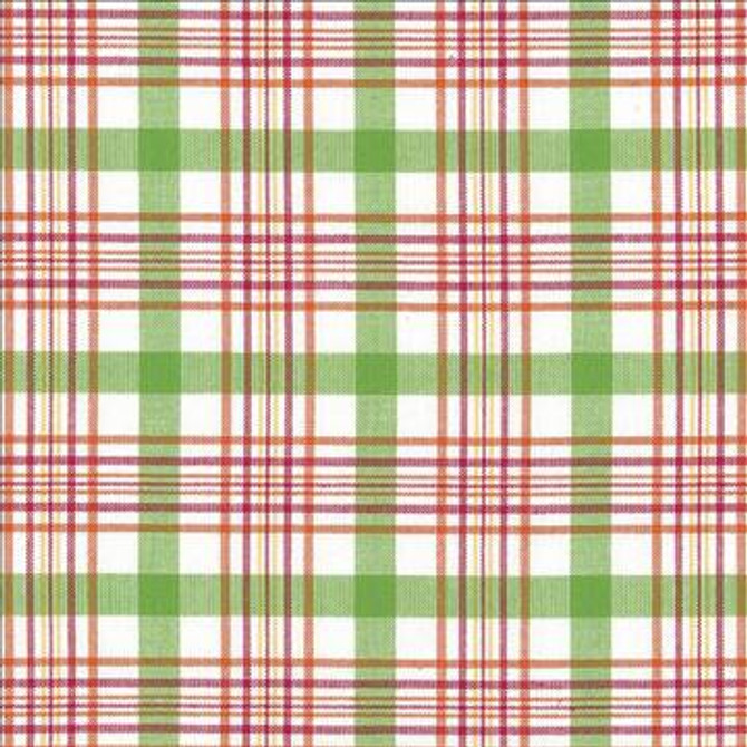 Cicero Plaid Summer by Kasmir Fabric 5074 100% Cotton INDIA 30,000 Wyzenbeek Double Rubs H: 3 inches, V: 3 inches 54 - Fabric Carolina - Kasmir
