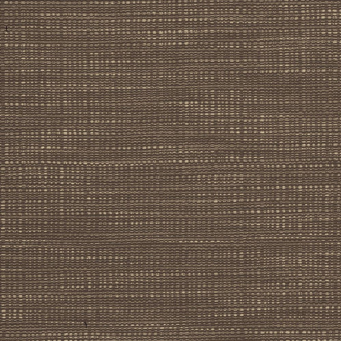 Ciro Darjeeling by Kasmir Fabric 5101 56% Rayon
44% Polyester
 CHINA 51,000 Wyzenbeek Double Rubs </p><p>Repeat: Horizontal: N/A and Vertical: N/A 55 - Fabric Carolina -