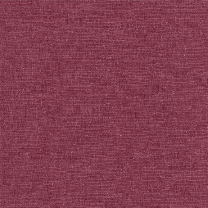 Como Rose by Kasmir Fabric 5116 51% Cotton
49% Polyester
 TAIWAN 30,000 Wyzenbeek Double Rubs Horizontal: N/A and Vertical: N/A 54 - Fabric Carolina -