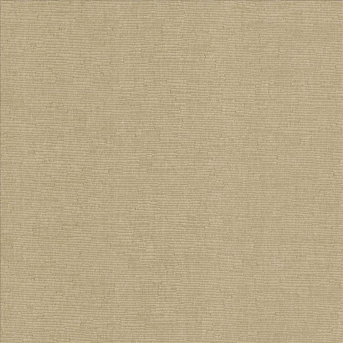 Como Taupe by Kasmir Fabric 5116 51% Cotton
49% Polyester
 TAIWAN 30,000 Wyzenbeek Double Rubs Horizontal: N/A and Vertical: N/A 54 - Fabric Carolina -