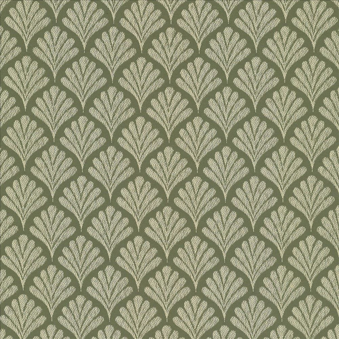 Coquille Fern by Kasmir Fabric 5074 100% Polyester
 CHINA 41,000 Wyzenbeek Double Rubs </p><p>Repeat: Horizontal: 2 inches and Vertical: 1 6/8 inches 57 - Fabric Carolina -