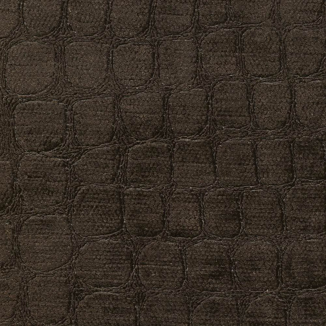 Croc Chocolate by Kasmir Fabric 1422 100% Polyester
 CHINA 60,000 Wyzenbeek Double Rubs </p><p>Repeat: Horizontal: 6 6/8 inches and Vertical: 13 6/8 inches 54 - Fabric Carolina -