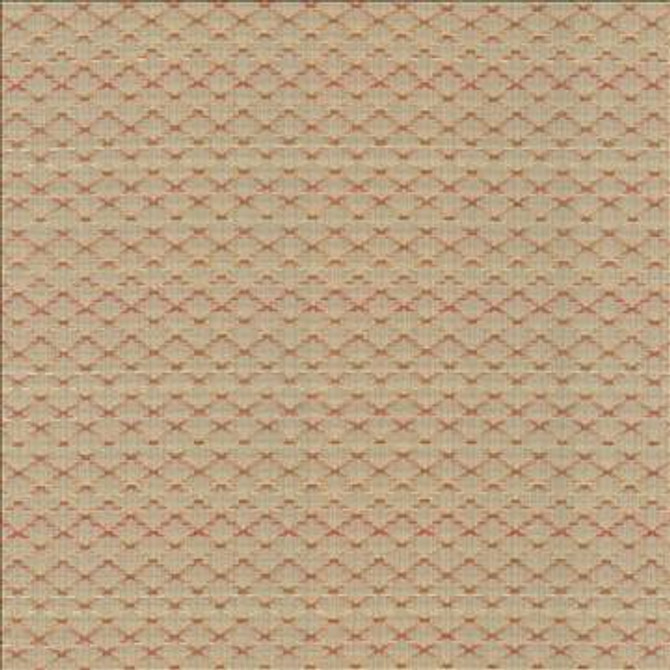 Diamonside Watermelon by Kasmir Fabric 5087 55% Polyester 45% Rayon CHINA 25,000 Wyzenbeek Double Rubs H: 1 2/8 inches, V: 4/8 inches 55 - Fabric Carolina - Kasmir