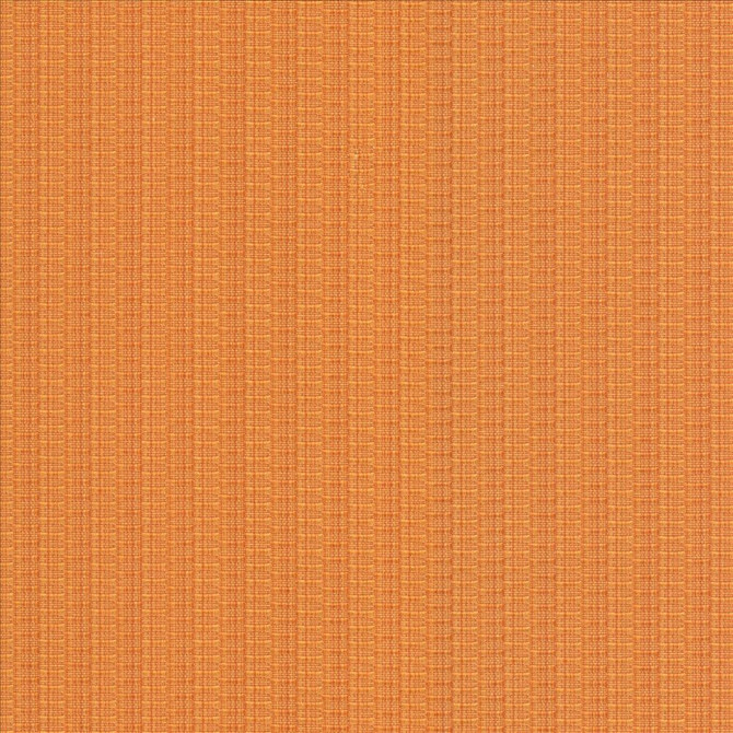 Diffusion Mango by Kasmir Fabric 5094 56% Cotton
44% Polyester
 CHINA </p><p>Repeat: Horizontal: N/A and Vertical: N/A 55 - Fabric Carolina -