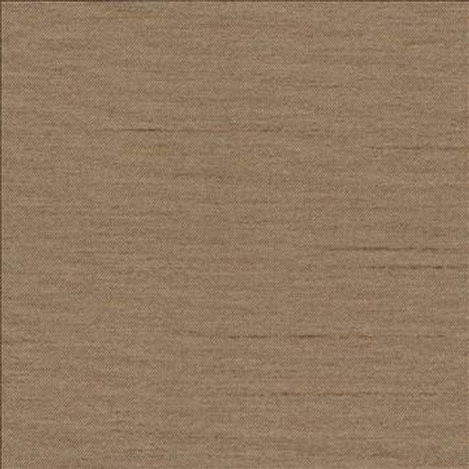 Firenza Mushroom by Kasmir Fabric 1246 100% Polyester INDIA 9,000 Wyzenbeek Double Rubs H: N/A, V: N/A 54 - 55 - Fabric Carolina - Kasmir