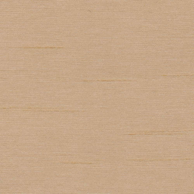 Firenza Putty by Kasmir Fabric 1246 100% Polyester INDIA 9,000 Wyzenbeek Double Rubs H: N/A, V:N/A 54 - 55 - Fabric Carolina - Kasmir