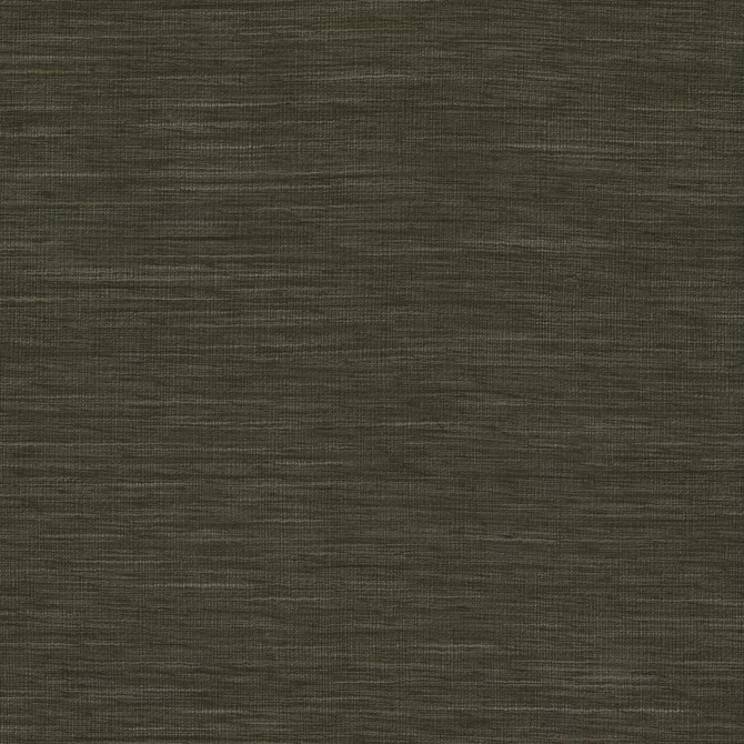 Gainsford Gunmetal by Kasmir Fabric 5060 75% Polyester
25% Viscose
 INDIA </p><p>Repeat: Horizontal: N/A and Vertical: N/A 54 - Fabric Carolina -