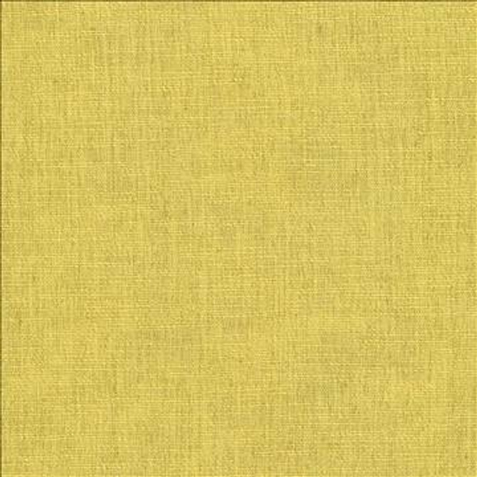 Gobo Citrine by Kasmir Fabric 5074 60% Polyester 40% Rayon INDIA 30,000 Wyzenbeek Double Rubs H: N/A, V: N/A 54 - 55 - Fabric Carolina - Kasmir