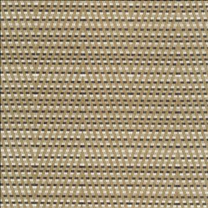 Hot To Trot Platinum by Kasmir Fabric 5113 78% Polyester 22% Cotton INDIA 25,000 Wyzenbeek Double Rubs H: 6 7/8 inches, V: 14 6/8 inches 54 - 56 - Fabric Carolina - Kasmir