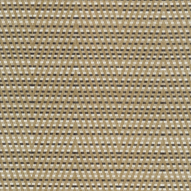 Hot To Trot Platinum by Kasmir Fabric 5113 78% Polyester
22% Cotton
 INDIA </p><p>Repeat: Horizontal: 6 7/8 inches and Vertical: 14 6/8 inches 54 - 56 - Fabric Carolina -