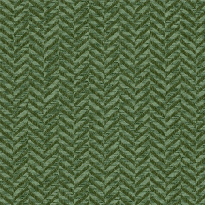 Hypnotic Pine by Kasmir Fabric 5099 54% Polyester
46% Cotton
 TAIWAN </p><p>Repeat: Horizontal: 6/8 inches and Vertical: 2/8 inches 54 - 55 - Fabric Carolina -