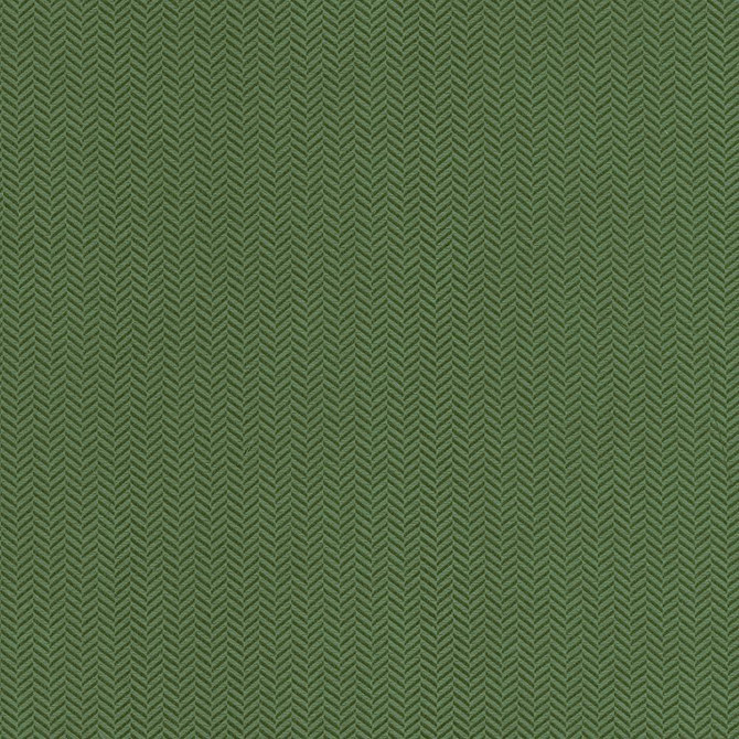 Hypnotic Pine by Kasmir Fabric 5099 54% Polyester
46% Cotton
 TAIWAN </p><p>Repeat: Horizontal: 6/8 inches and Vertical: 2/8 inches 54 - 55 - Fabric Carolina -