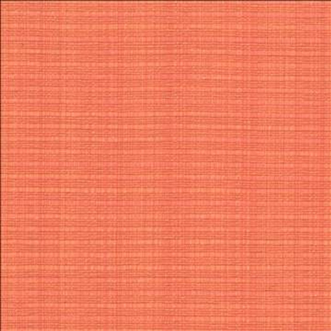 In Flux Melon by Kasmir Fabric 1439 100% Cotton INDIA 15,000 Wyzenbeek Double Rubs H: N/A, V: N/A 54 - 55 - Fabric Carolina - Kasmir