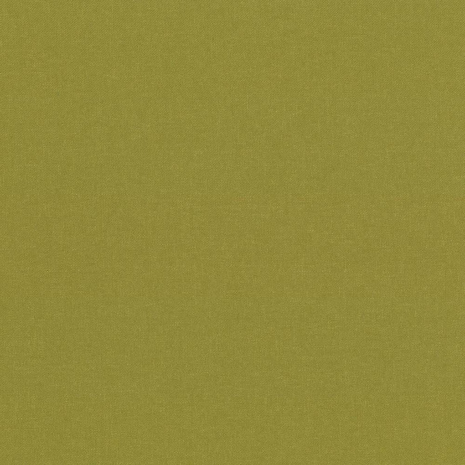 Kilbarry Pistachio by Kasmir Fabric 1429 100% Polyester
 INDIA </p><p>Repeat: Horizontal: N/A and Vertical: N/A 56 - Fabric Carolina -
