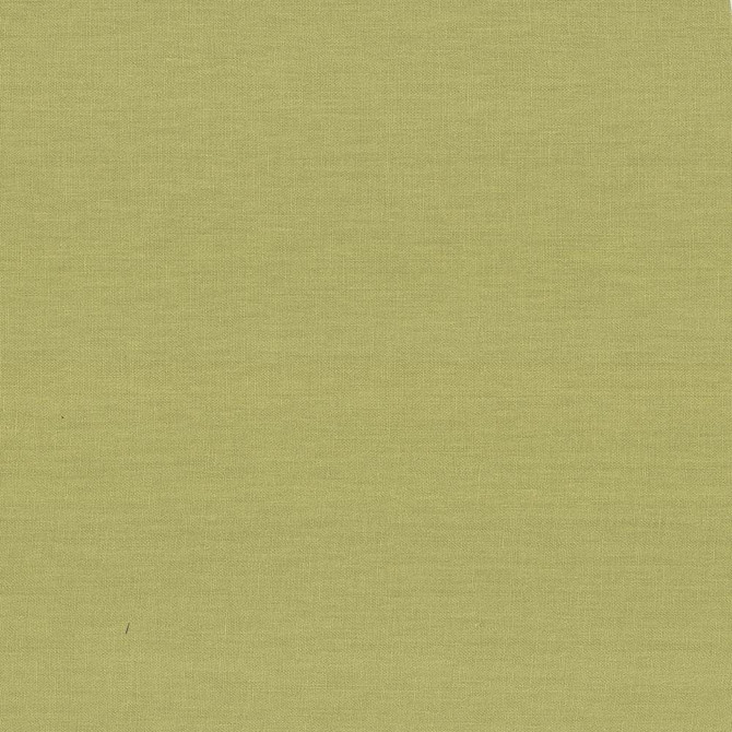 Kilkenny Pear by Kasmir Fabric 5091 100% Linen
 CHINA </p><p>Repeat: Horizontal: N/A and Vertical: N/A 54 - 56 - Fabric Carolina -