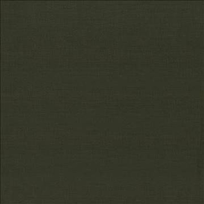 Kilkenny Pine by Kasmir Fabric 5091 100% Linen CHINA 15,000 Wyzenbeek Double Rubs H: N/A, V: N/A 54 - 56 - Fabric Carolina - Kasmir