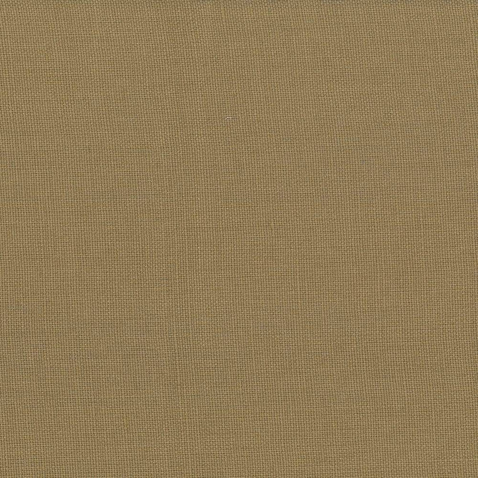 Lismore Cocoa by Kasmir Fabric 1432 BRAZIL 8,000 Wyzenbeek Double Rubs H: N/A, V:N/A 54 - Fabric Carolina - Kasmir