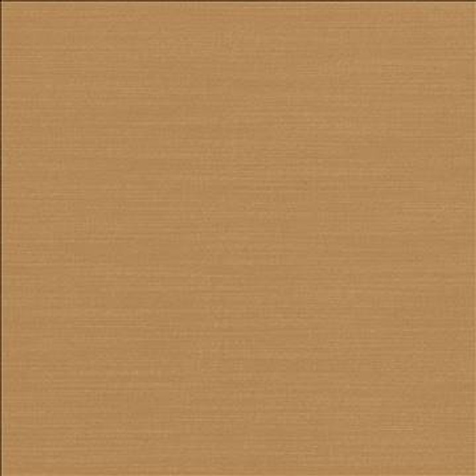 Luxe Camel by Kasmir Fabric 1447 88% Rayon 12% Polyester USA 21,000 Wyzenbeek Double Rubs H: N/A, V: N/A 54 - Fabric Carolina - Kasmir