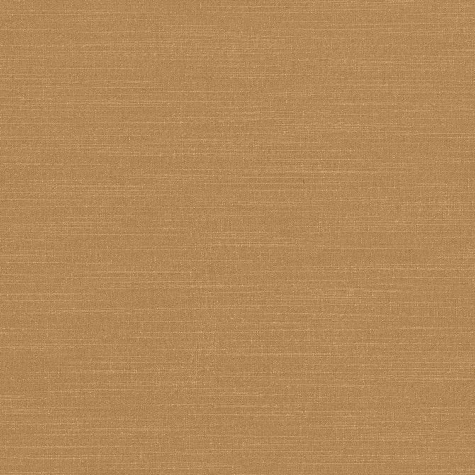 Luxe Camel by Kasmir Fabric 1447 88% Rayon
12% Polyester
 USA </p><p>Repeat: Horizontal: N/A and Vertical: N/A 54 - Fabric Carolina -