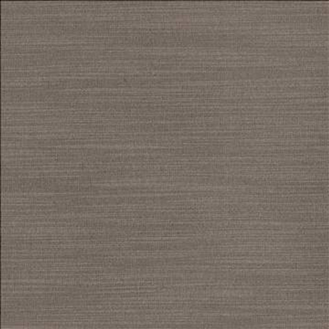Luxe Metal by Kasmir Fabric 1447 88% Rayon 12% Polyester USA 21,000 Wyzenbeek Double Rubs H: N/A, V: N/A 54 - Fabric Carolina - Kasmir