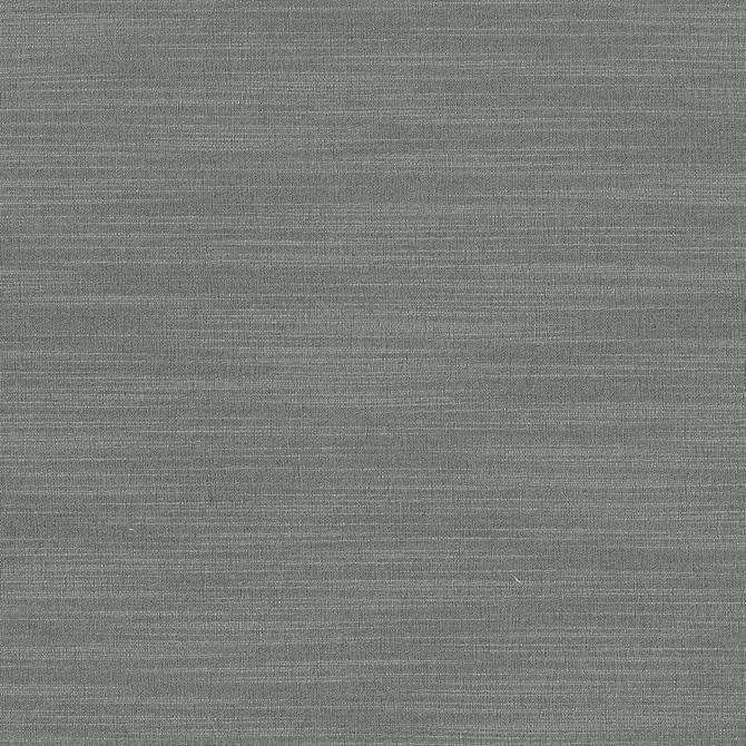 Luxe Pewter by Kasmir Fabric 1447 USA 21,000 Wyzenbeek Double Rubs H: N/A, V:N/A 54 - Fabric Carolina - Kasmir