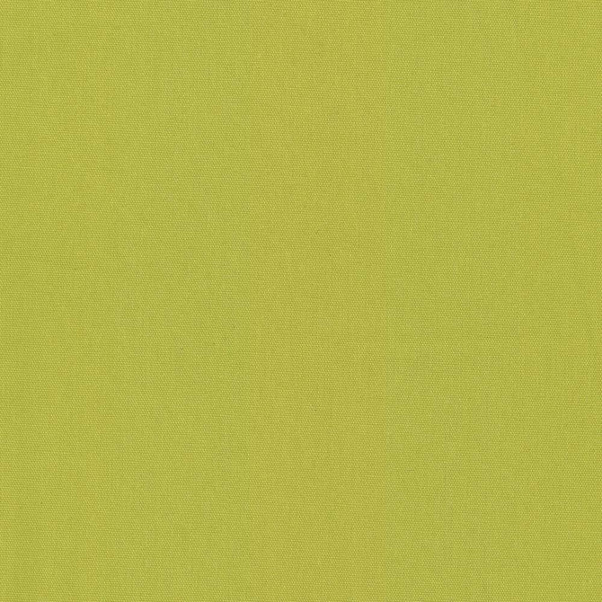 Nonchalant Lime by Kasmir Fabric 5075 TURKEY Not Tested H: N/A, V:N/A 54 - 55 - Fabric Carolina - Kasmir