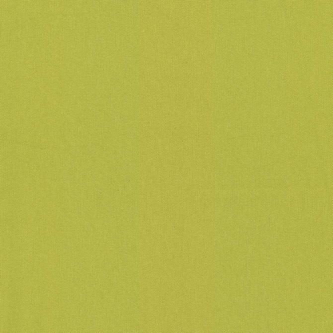 Nonchalant Lime by Kasmir Fabric 5075 100% Cotton
 TURKEY </p><p>Repeat: Horizontal: N/A and Vertical: N/A 54 - 55 - Fabric Carolina -