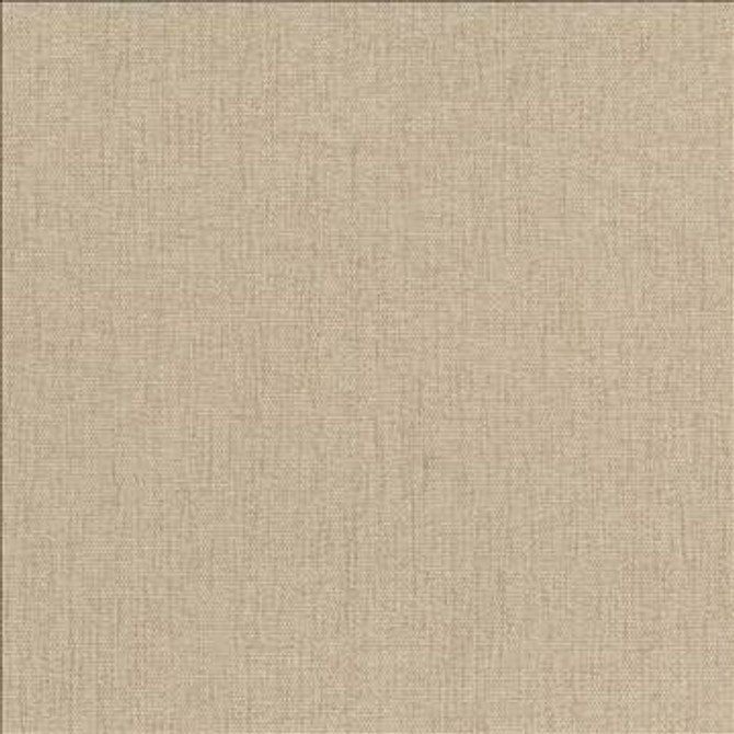 Pinnacle Chamois by Kasmir Fabric 1353 100% Polyester INDIA 102,000 Wyzenbeek Double Rubs H: N/A, V: N/A 54 - 55 - Fabric Carolina - Kasmir