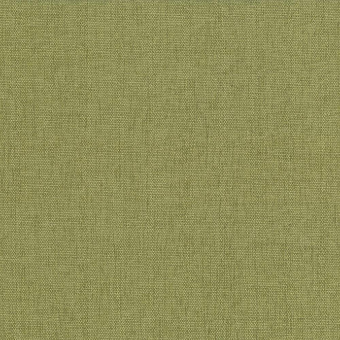 Pinnacle Herb by Kasmir Fabric 5046 INDIA 102,000 Wyzenbeek Double Rubs H: N/A, V:N/A 54 - 55 - Fabric Carolina - Kasmir