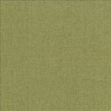 Pinnacle Herb by Kasmir Fabric 5046 100% Polyester INDIA 102,000 Wyzenbeek Double Rubs H: N/A, V: N/A 54 - 55 - Fabric Carolina - Kasmir