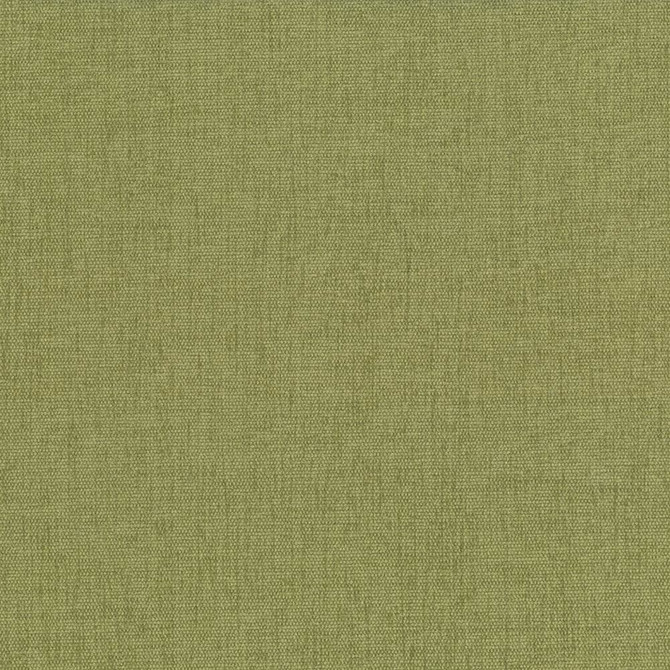 Pinnacle Herb by Kasmir Fabric 1353 100% Polyester
 INDIA </p><p>Repeat: Horizontal: N/A and Vertical: N/A 54 - 55 - Fabric Carolina -