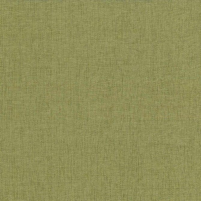 Pinnacle Herb by Kasmir Fabric 1353 100% Polyester
 INDIA </p><p>Repeat: Horizontal: N/A and Vertical: N/A 54 - 55 - Fabric Carolina -
