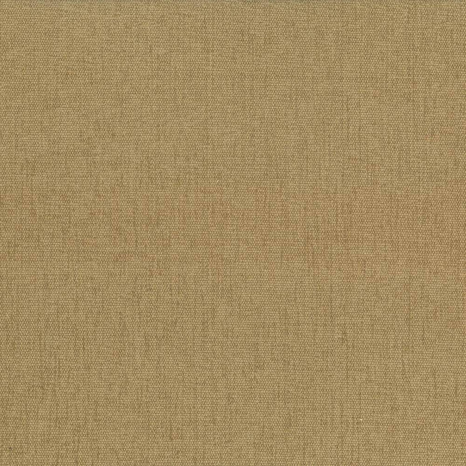 Pinnacle Honey by Kasmir Fabric 1353 INDIA 102,000 Wyzenbeek Double Rubs H: N/A, V:N/A 54 - 55 - Fabric Carolina - Kasmir