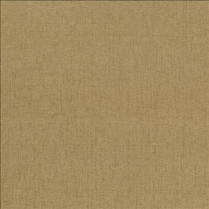 Pinnacle Honey by Kasmir Fabric 5046 100% Polyester INDIA 102,000 Wyzenbeek Double Rubs H: N/A, V: N/A 54 - 55 - Fabric Carolina - Kasmir