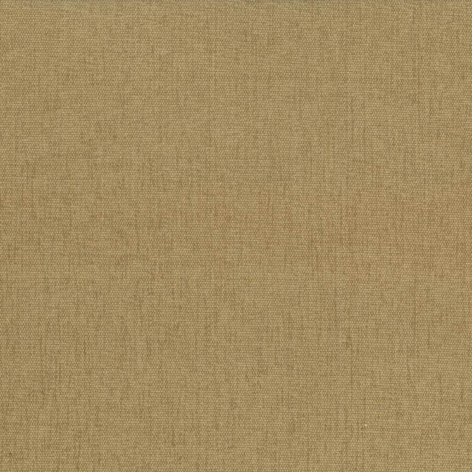 Pinnacle Honey by Kasmir Fabric 1353 100% Polyester
 INDIA </p><p>Repeat: Horizontal: N/A and Vertical: N/A 54 - 55 - Fabric Carolina -