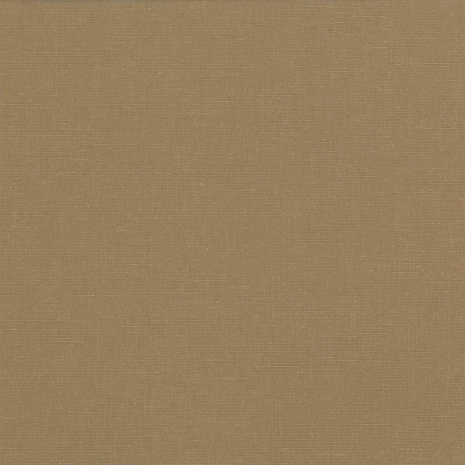 Pirouette Cafe by Kasmir Fabric 5054 100% Polyester
 INDIA </p><p>Repeat: Horizontal: N/A and Vertical: N/A 54 - 55 - Fabric Carolina -